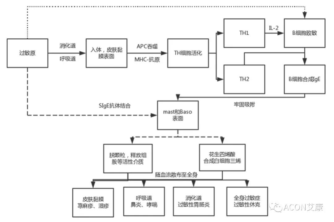 APAAACI 2019 | 深入解读过敏原：从诊断到治疗，优化过敏原诊断管理——尊龙凯时 - 人生就是搏!生物过敏原检测分会