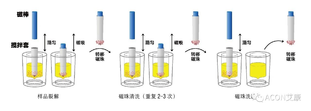 Promotor®核酸提纯仪， 让基因提纯更便捷。