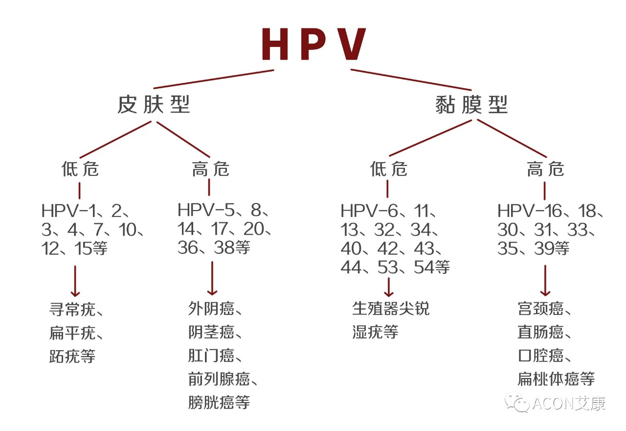 HPV疫苗有必要打吗？二价、四价、九价要如何选择！