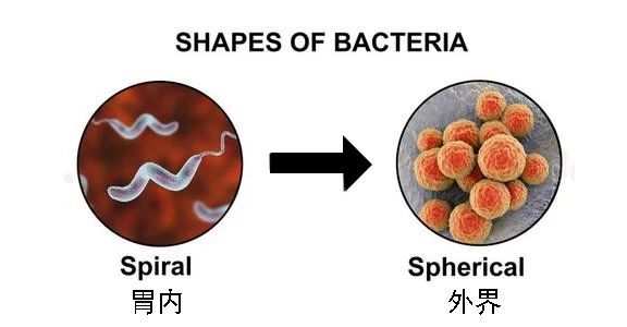 这种致癌物传染性极强，50%中国人都有！很多人还不知道