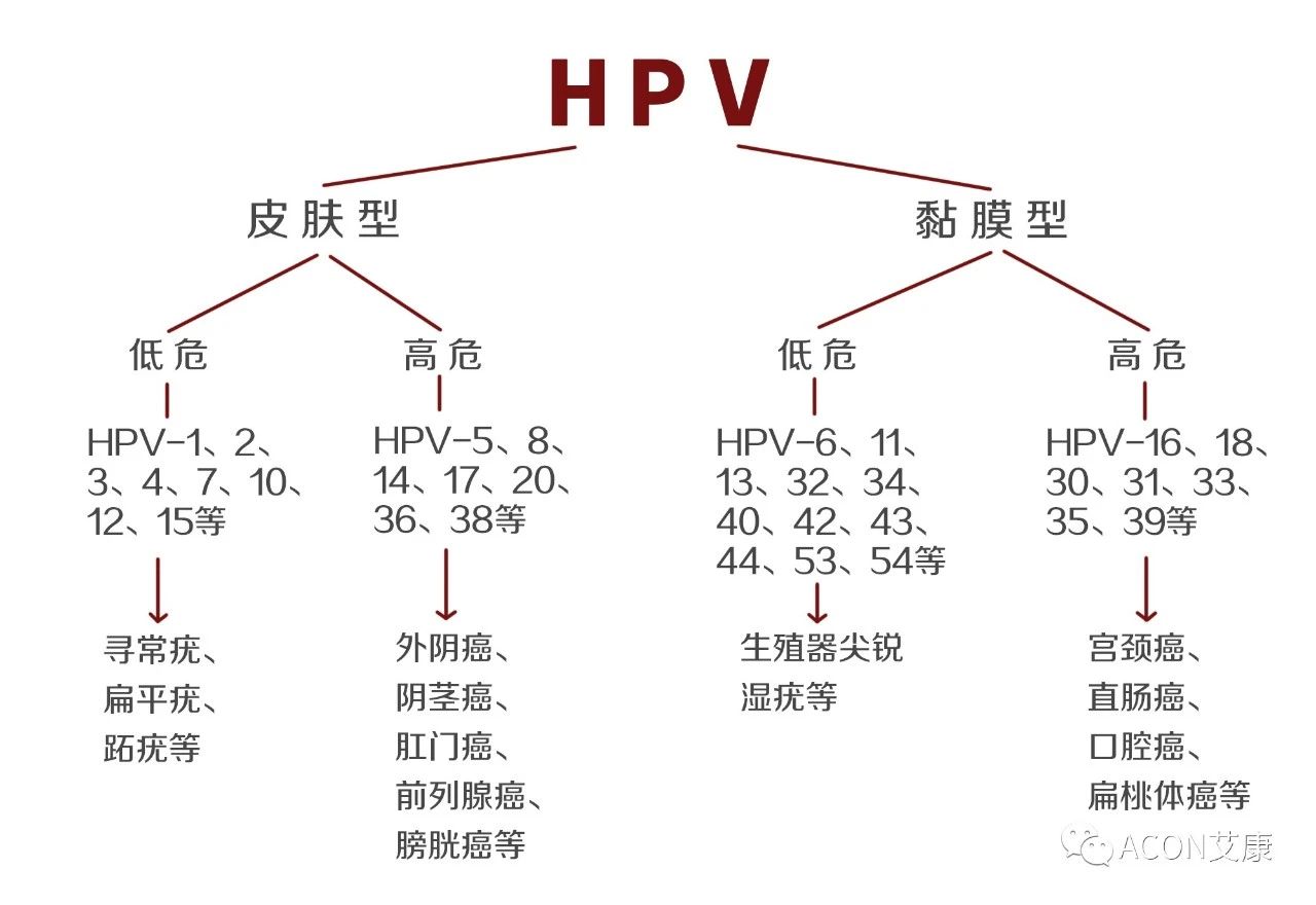 HPV转阴其实很简单， 女性必知的宫颈癌真相