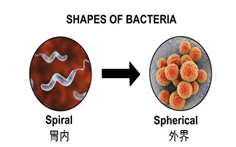 微信图片_20210322090537.jpg