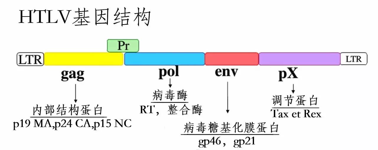 微信图片_20220530170722.jpg